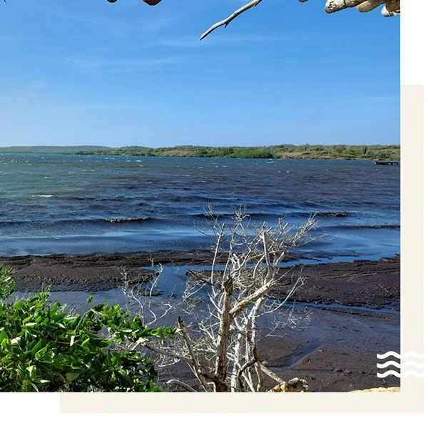 Gusty-Kiting-St-Jorisbaai-2 Kite surf spot sint Joris Baai Curacao